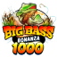 big-bass-bonanza-1000.fi favicon